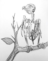 a drawing of a skeleton sitting on a branch